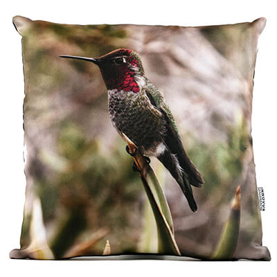 Back Yard Hummingbird 14in Throw Pillow