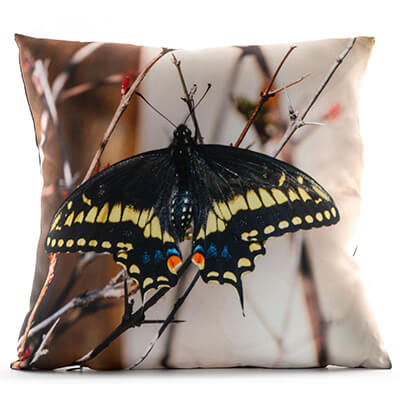 Black Swallowtail Butterfly 14in Throw Pillow