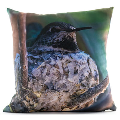 Hummingbird On A Nest 14in Throw Pillow