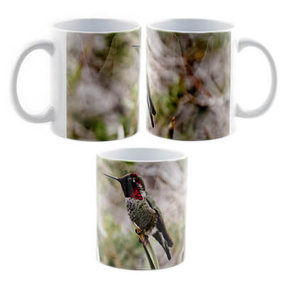 Iridescent Backyard Hummingbird Mug