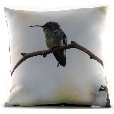 Juvenile Hummingbird 14in Throw Pillow