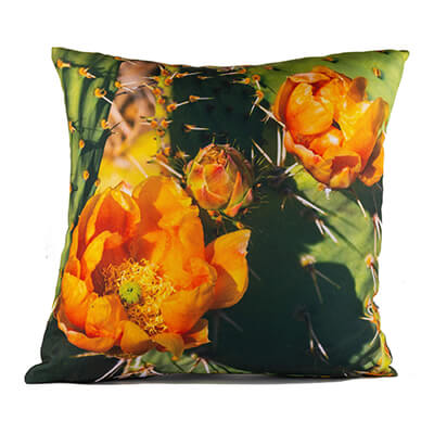 Orange Cactus Flower 14in Throw Pillow