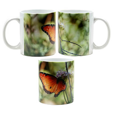Queen Butterfly No 2 Mug