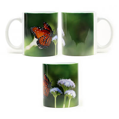 Queen Butterfly No 3 Mug