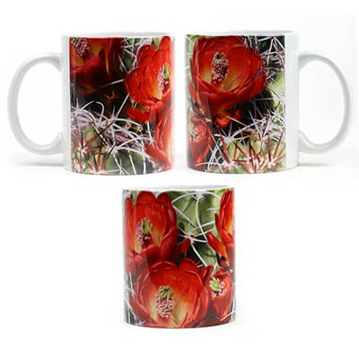 Red Flowering Cactus Mug