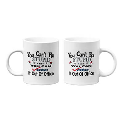 You Can't Fix Stupid but You Can Vote It Out Of Office Mug