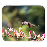 Pink Flower Hummingbird Mousepad