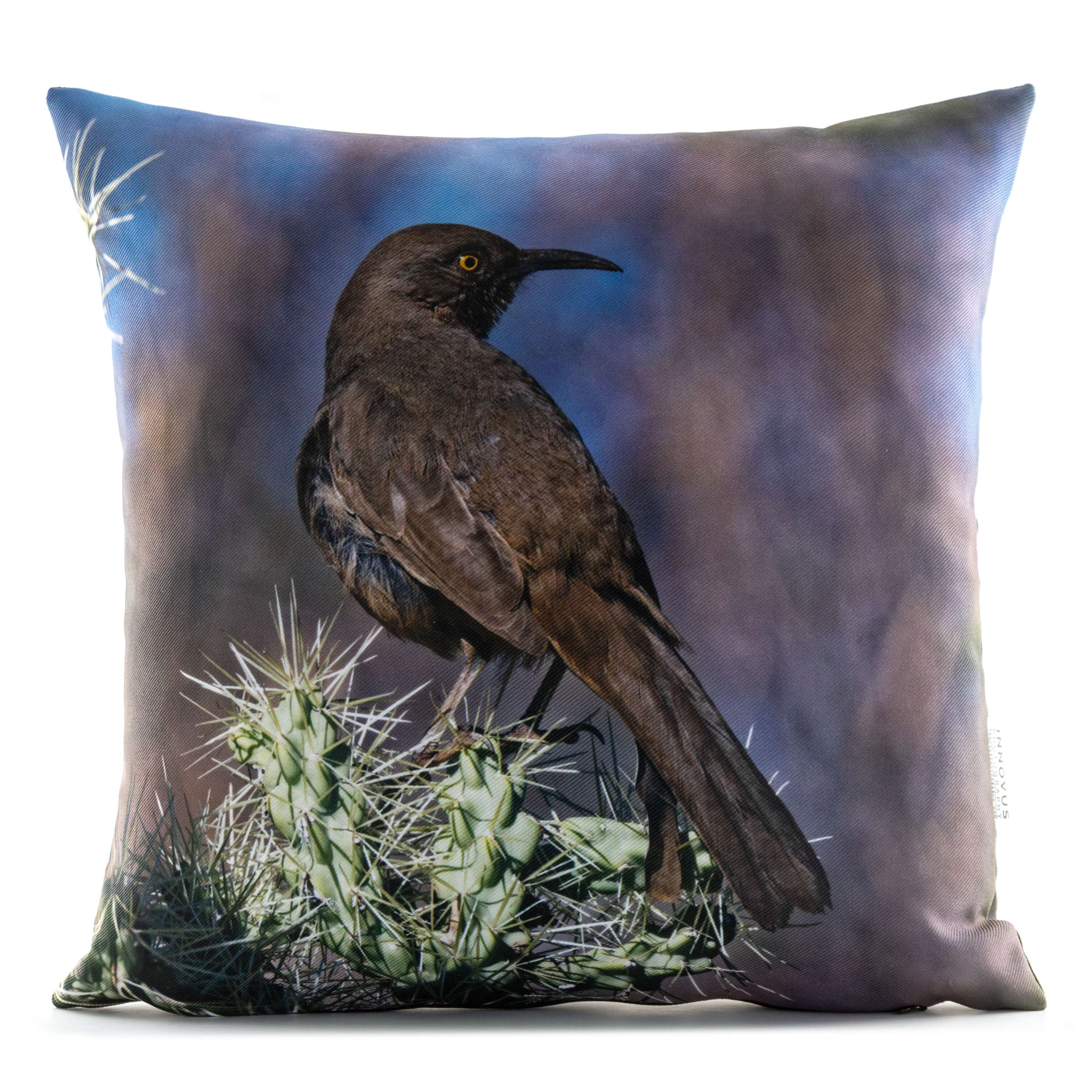 Curve-Billed Thrasher 14in Throw Pillow
