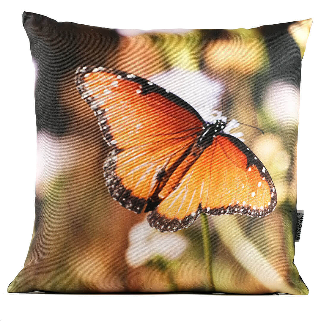Queen Butterfly No 1 14in Throw Pillow