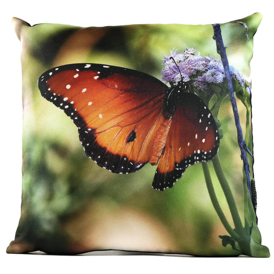Queen Butterfly No 2 14in Throw Pillow